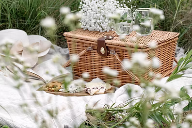 picnic in essex